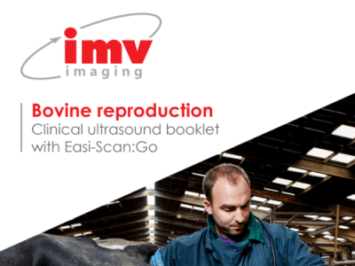 牛复制小册子400分钟