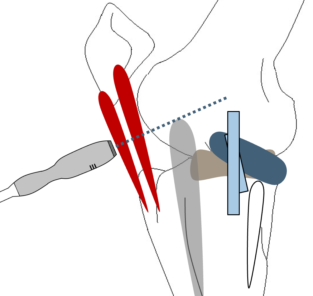 社交媒体的形象